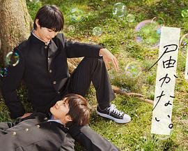 在线免费观看大片AV