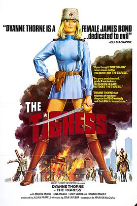 一区二区精品视频